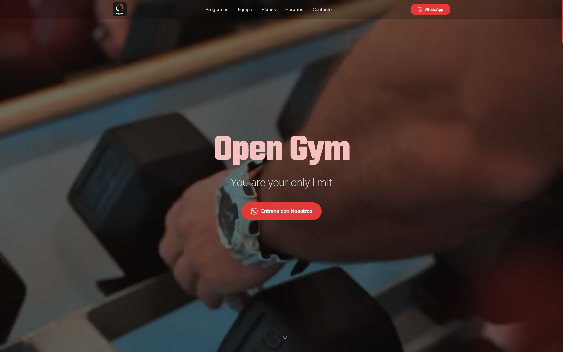 Captura de Open Gym